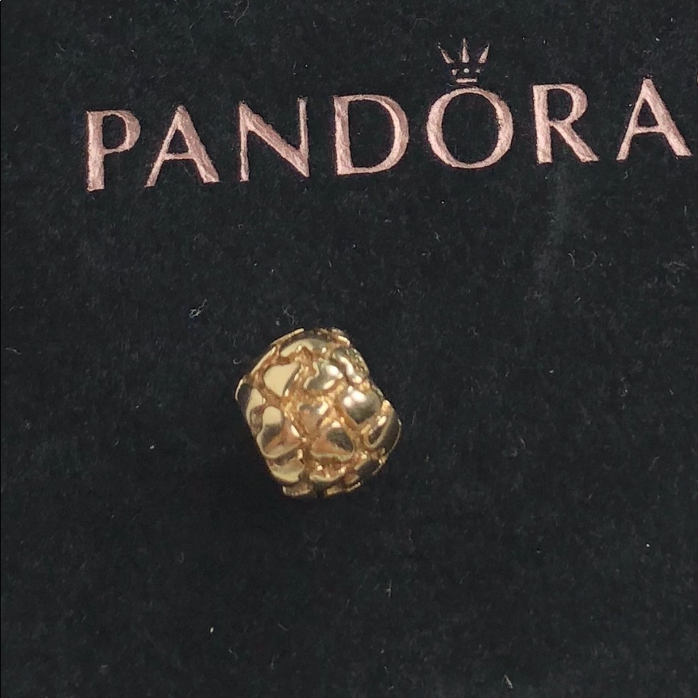 Pandora 14kt Gold Charm